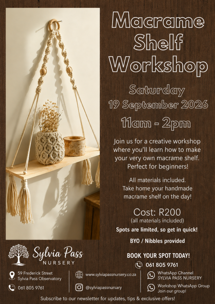 Make Your Own Boho Macramé Shelf